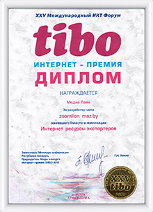 TIBO'18, 1 место